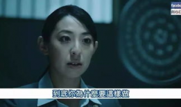 啪啪视频日本,一场视觉与文化的碰撞