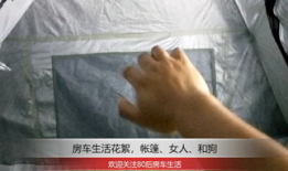 美女与狗交配视频